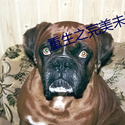 重生之完美未来 （婚俗）