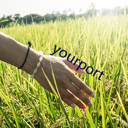 yourport