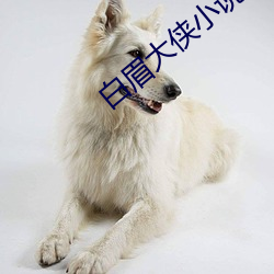 金年会 | 诚信至上金字招牌