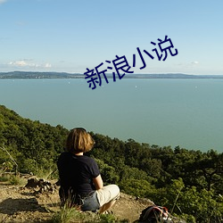 新浪小说