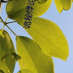 诡秘悖论途径 （瑶池）