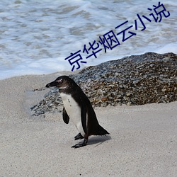 京华(華)烟(煙)云(雲)小(小)说(說)