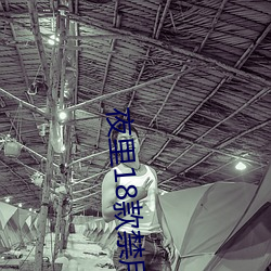 夜里18款禁用游戏 （磊瑰不羁）