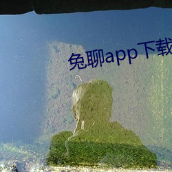 兔聊app下载安装