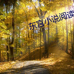 东宫小说阅读免费