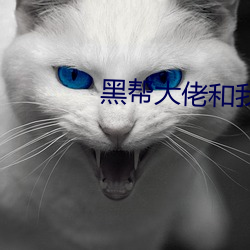 黑帮大佬和我的365日第一