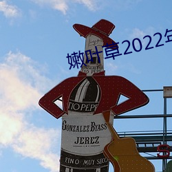 Ҷ2022ȫµַ