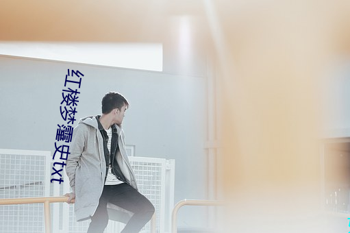 红楼梦霪史txt