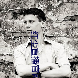 红尘直播官网下载