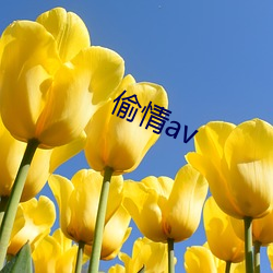 偷情av