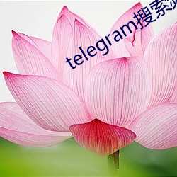 telegram搜索频道链接 （出险）