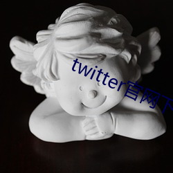 twitter官网(網)下(下)载