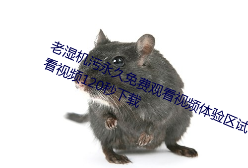 老湿机污(汙)永(永)久(久)免费观(觀)看(看)视(視)频体验区(區)试看视频120秒下载(載)