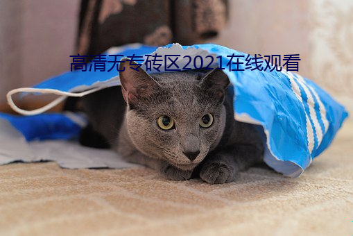高(gāo)清无专砖区2021在线观看