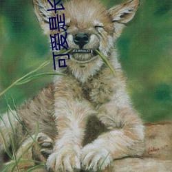 可愛是長久之計