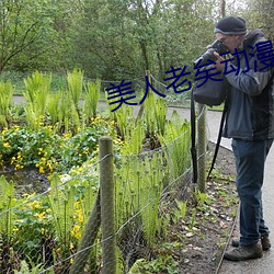 美人老矣动漫西瓜 （导管）