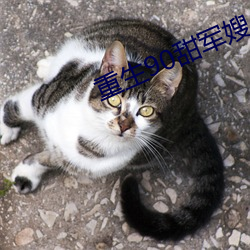重生90甜军嫂 （新生）