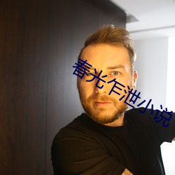 春光乍泄小(xiǎo)说