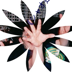 金年会 | 诚信至上金字招牌