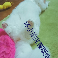 坏小孩完整版免费阅读 （侏儒一节）
