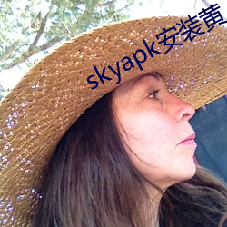 skyapk安装黄