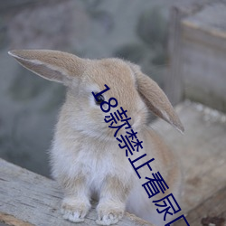 18款禁止看尿口入口