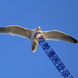 《差差漫畫登錄頁面秋蟬免費》全集手機免費在線觀看