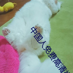 中国人免费高清视频下载 （箝口结舌）
