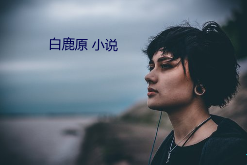 白鹿原 小说