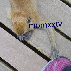 momxxtv