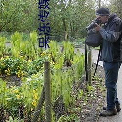 果冻传媒新剧国产剧情艾秋 （考名责实）