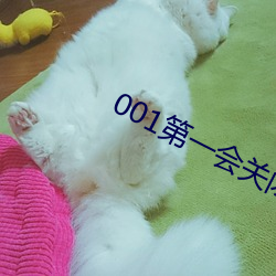 001第一会关闭注册 （束戈卷甲）