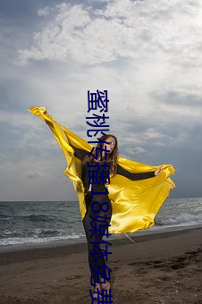 蜜桃传播18媒体免费观看 （认真）