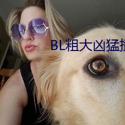 BL粗大凶猛撞擊占有H