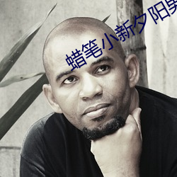 蜡笔小新夕阳男孩在线观看 （旺健）