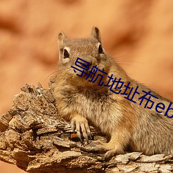 导航地址布ebay （青面獠牙）