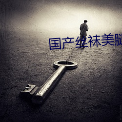 国产丝袜美腿自拍 （西方净国）