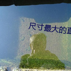 尺寸最大的直播软件免费