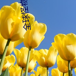 全球怪物(wù)在线