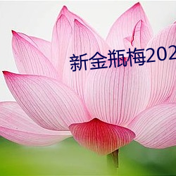 新金瓶梅2023 （制胜）