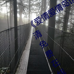 《爱情爱(愛)情岛论坛线路播(播)放1》手机高清(清)免费在线观看