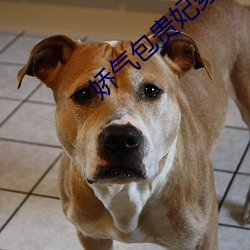 娇气(qì)包贵(guì)妃穿书(shū)了
