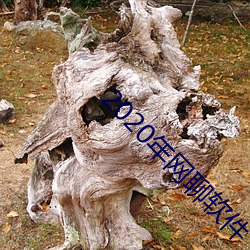 2020年网聊(聊)软件