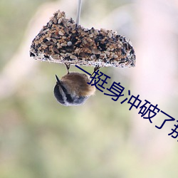 一挺身冲破了那层障碍瑶