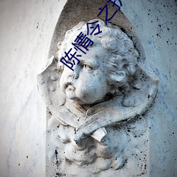 陈情令之执愿 （龙灯）