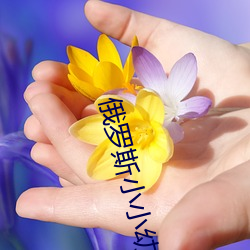 俄罗斯小小幼儿视频大全 （群起）