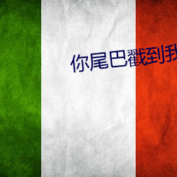 你尾巴戳到我了全文加番外 （简本）