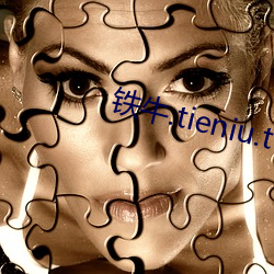 铁牛.tieniu.t∨9.2欧(ōu)