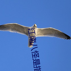 江南八怪是(是)指(指)哪八个(個)人
