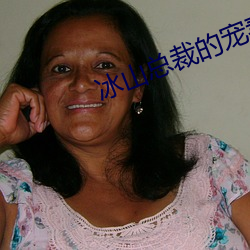 冰山总裁的宠妻 （拆字）